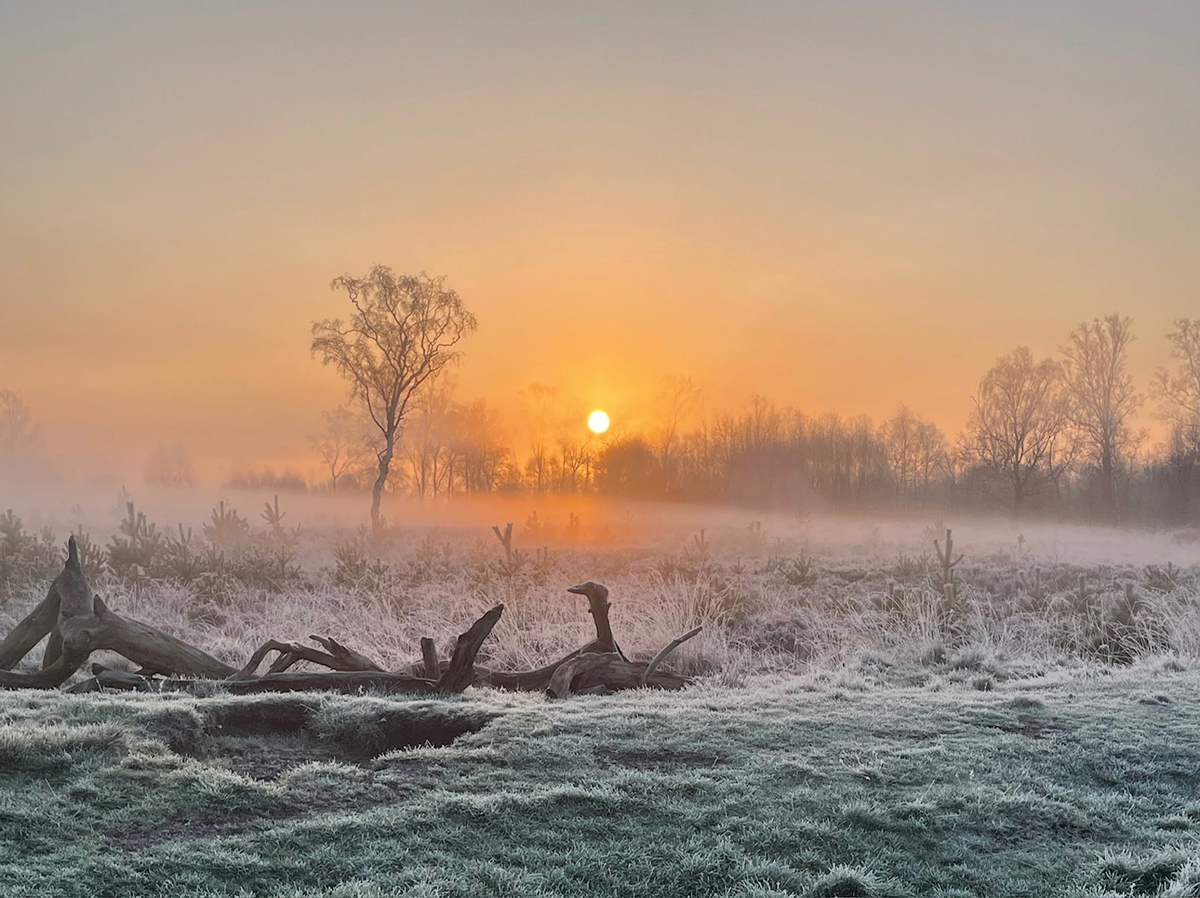 Frosty, foggy morning at Strensall Part 1 winner by Jayne Beat